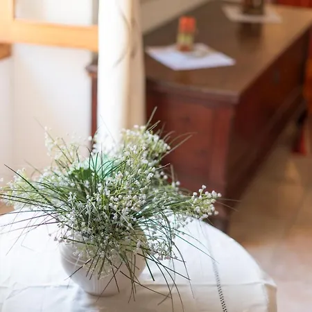 Artist's House In Alcudia, Close To Beaches Holiday home *